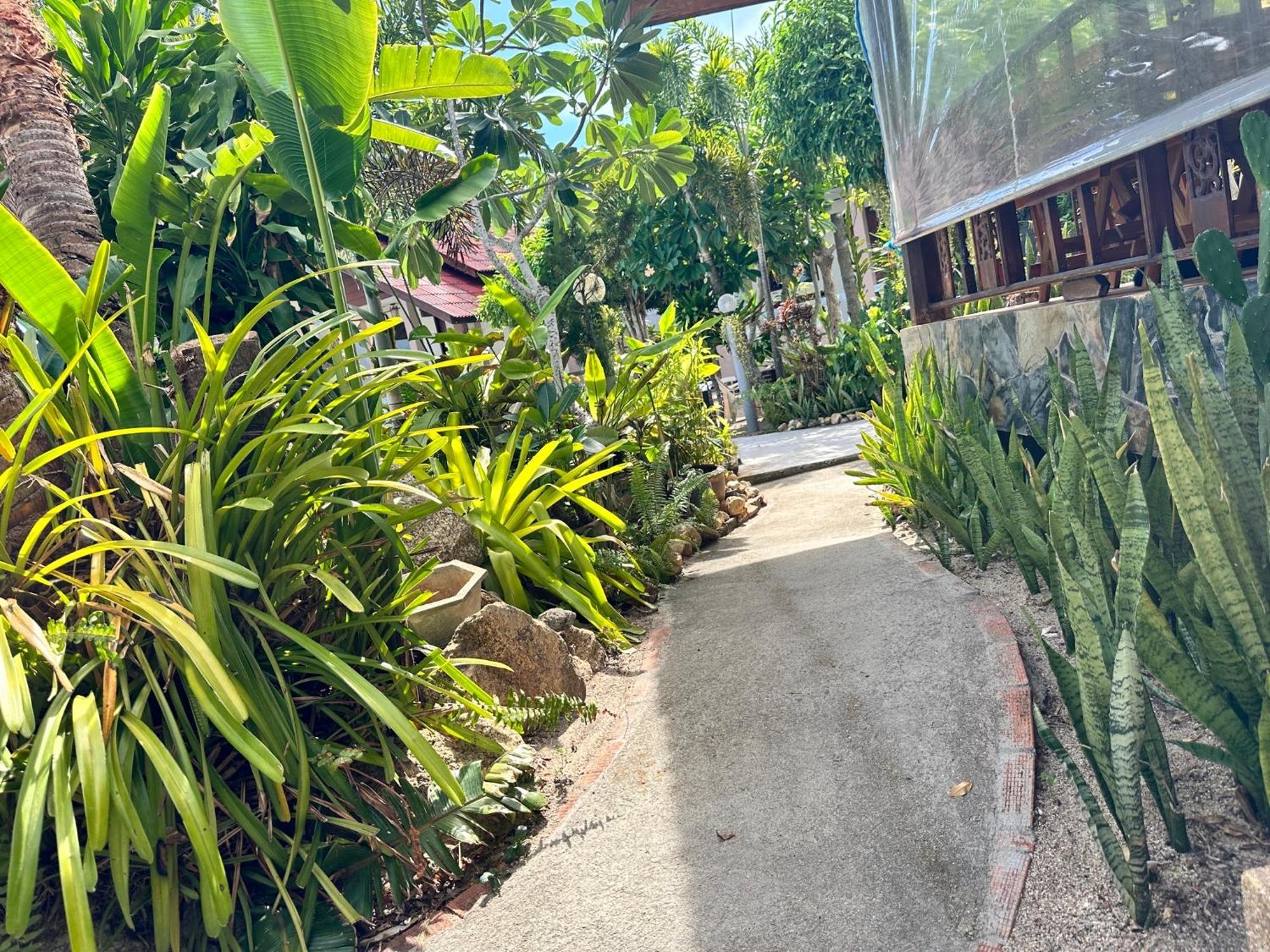 帕岸岛旅馆酒店 外观 照片